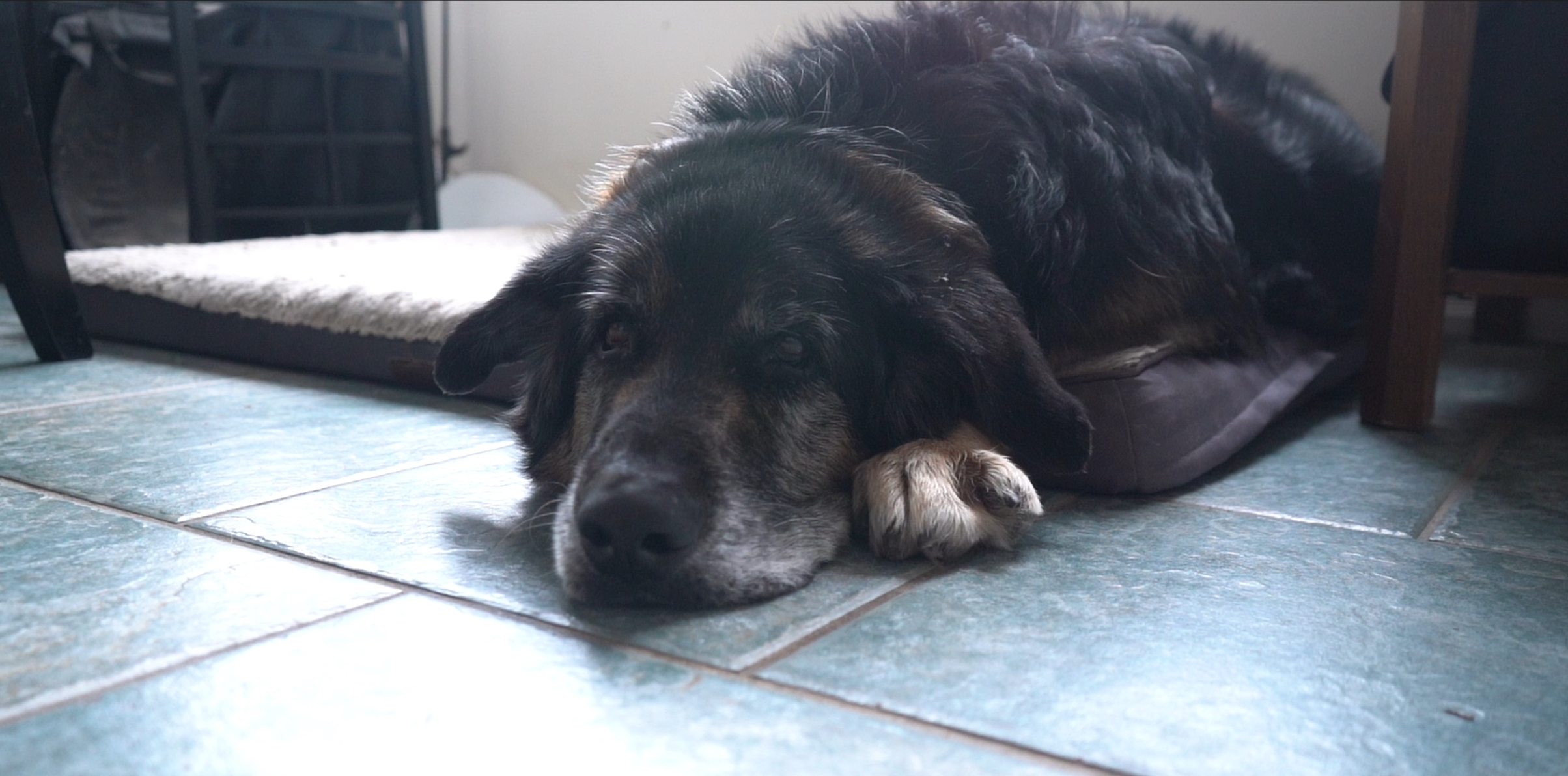 Douglas's solar installation - View 9