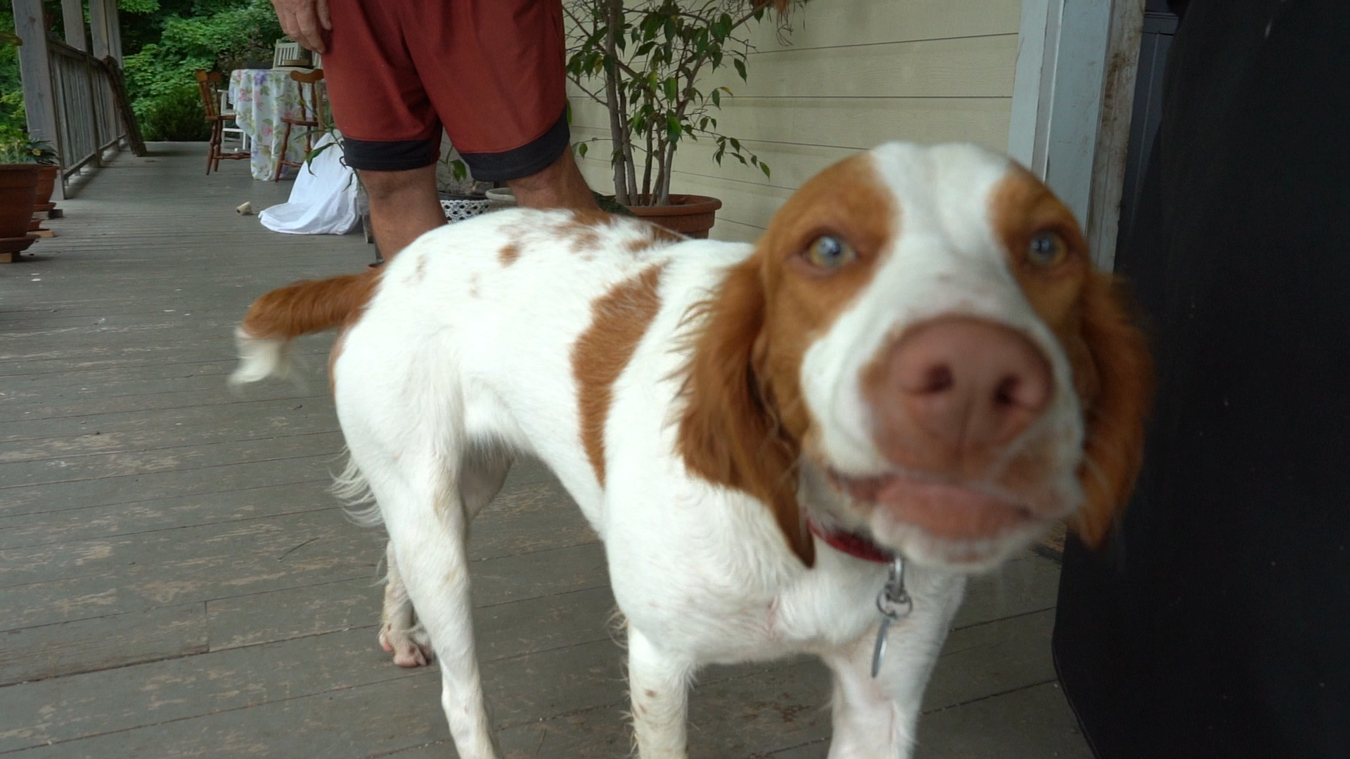 John's solar installation - View 9