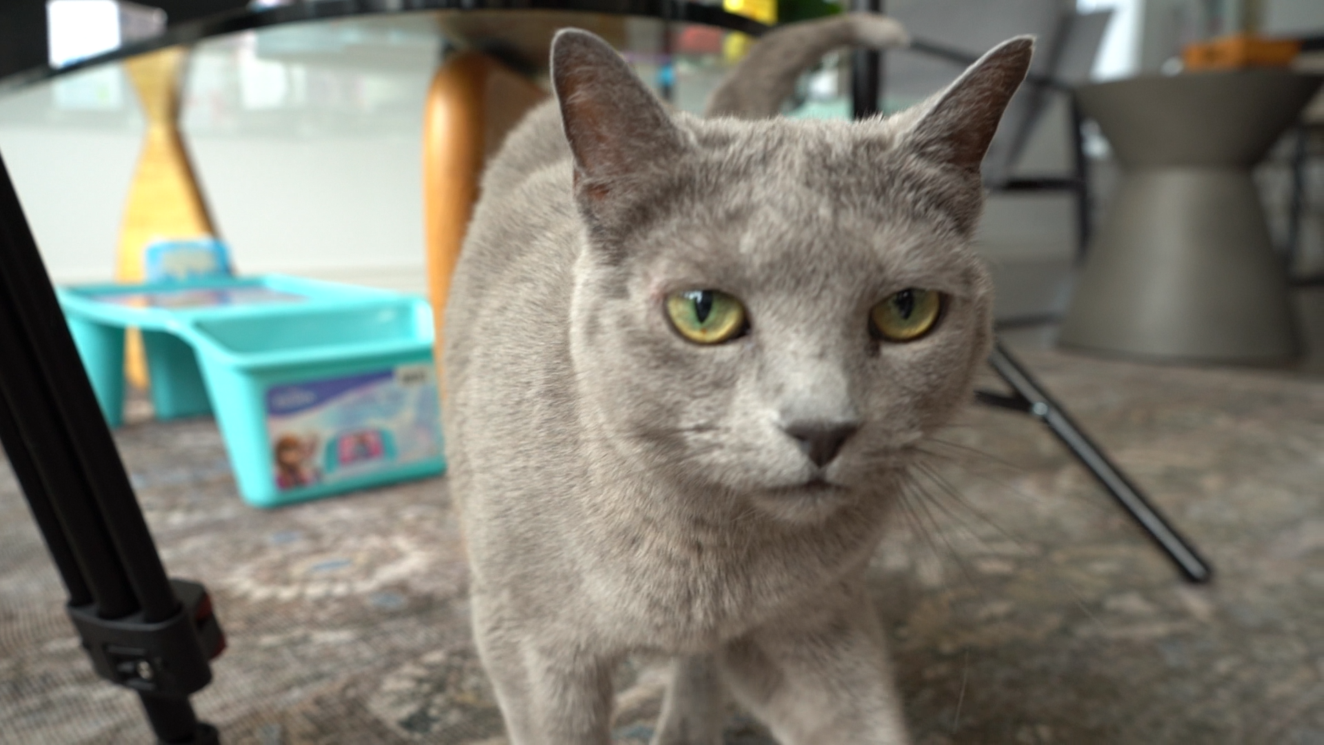 Kinn's solar installation - View 8