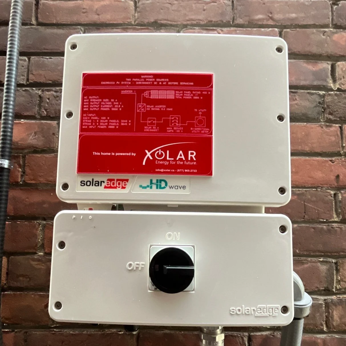 About Xolar - Image 7