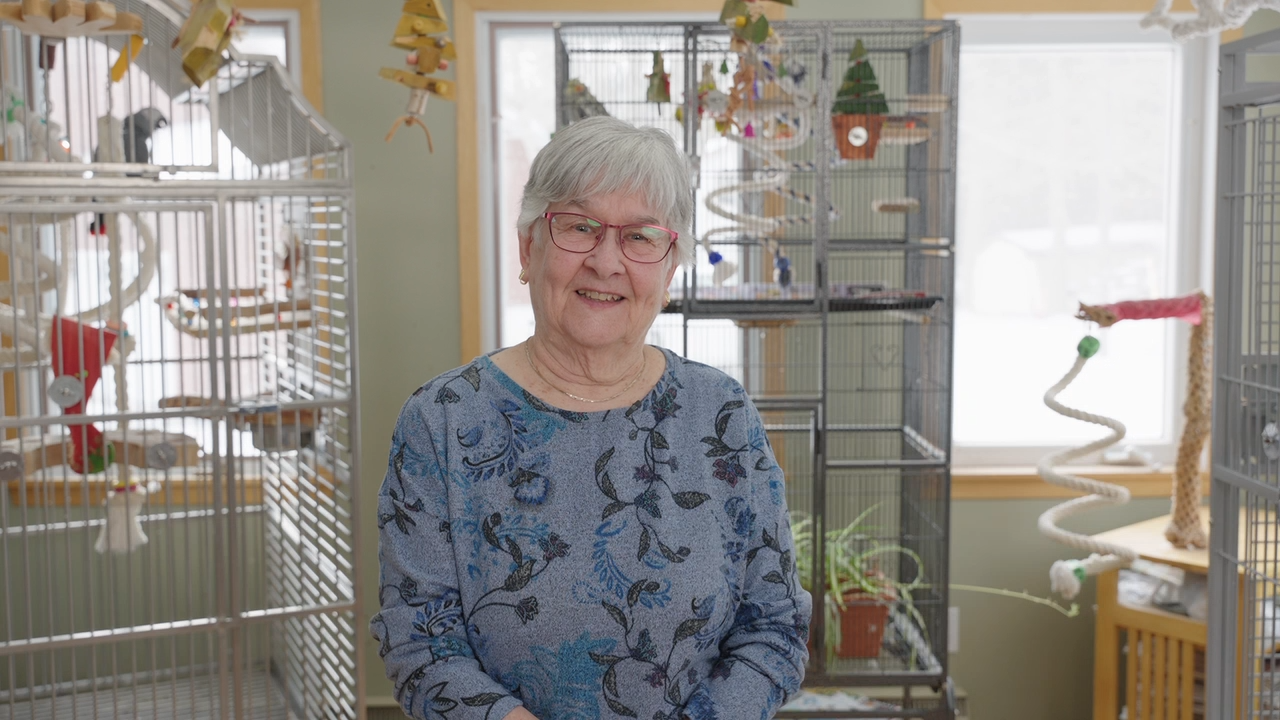 Nancy's home in Fredericton