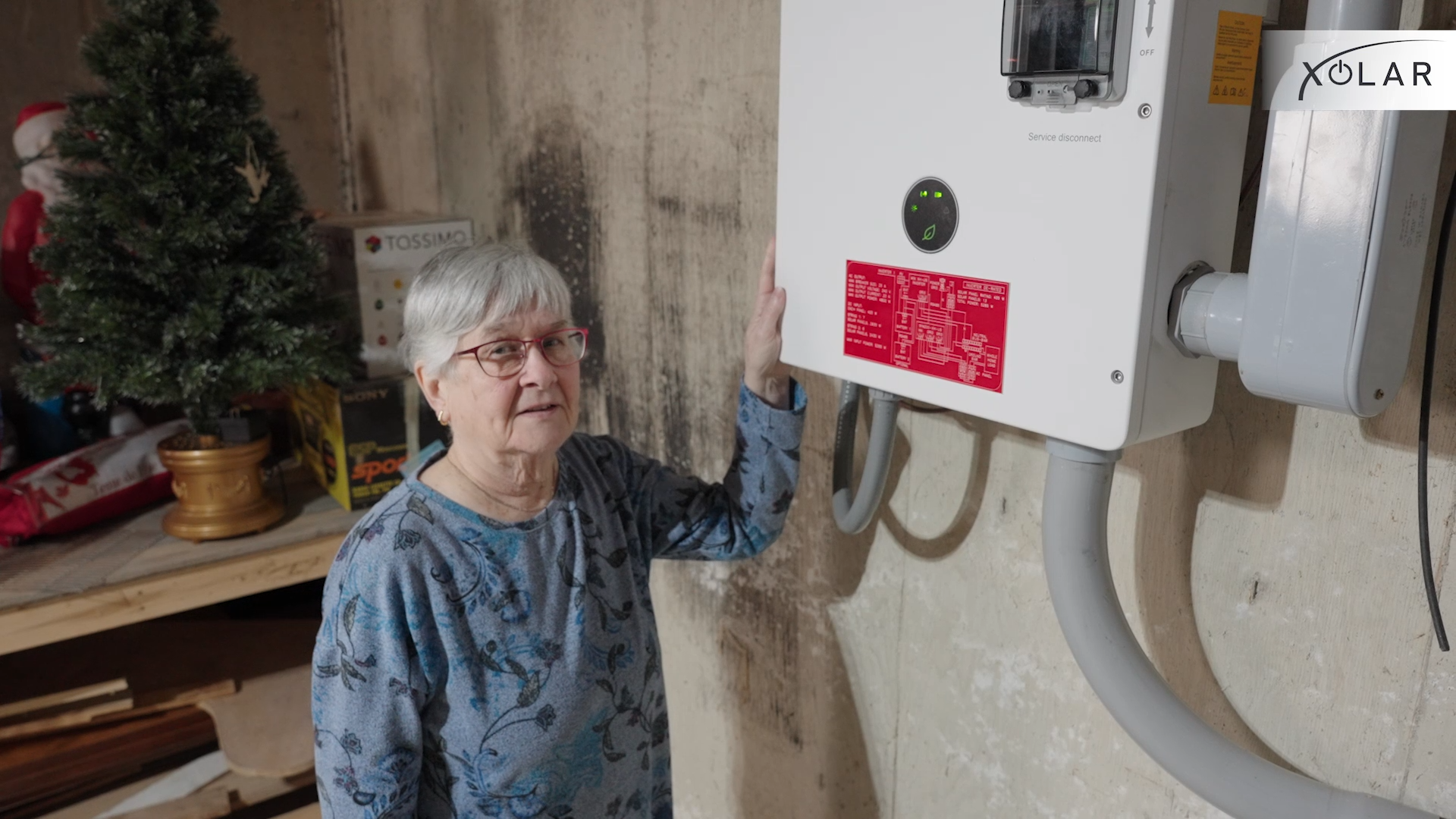 About Xolar - Image 6